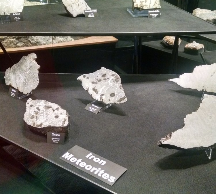 institute-of-meteoritics-meteorite-museum-photo